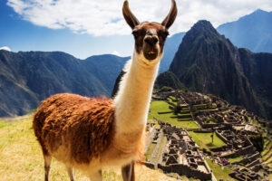 Deluxe Machu Picchu Hike with Inkaterra and Panoramic Train