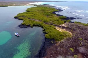 GALAPAGOS EXPEDITION - 4 days/3 nights