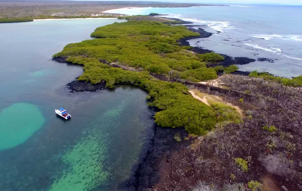 GALAPAGOS EXPEDITION - 4 days/3 nights